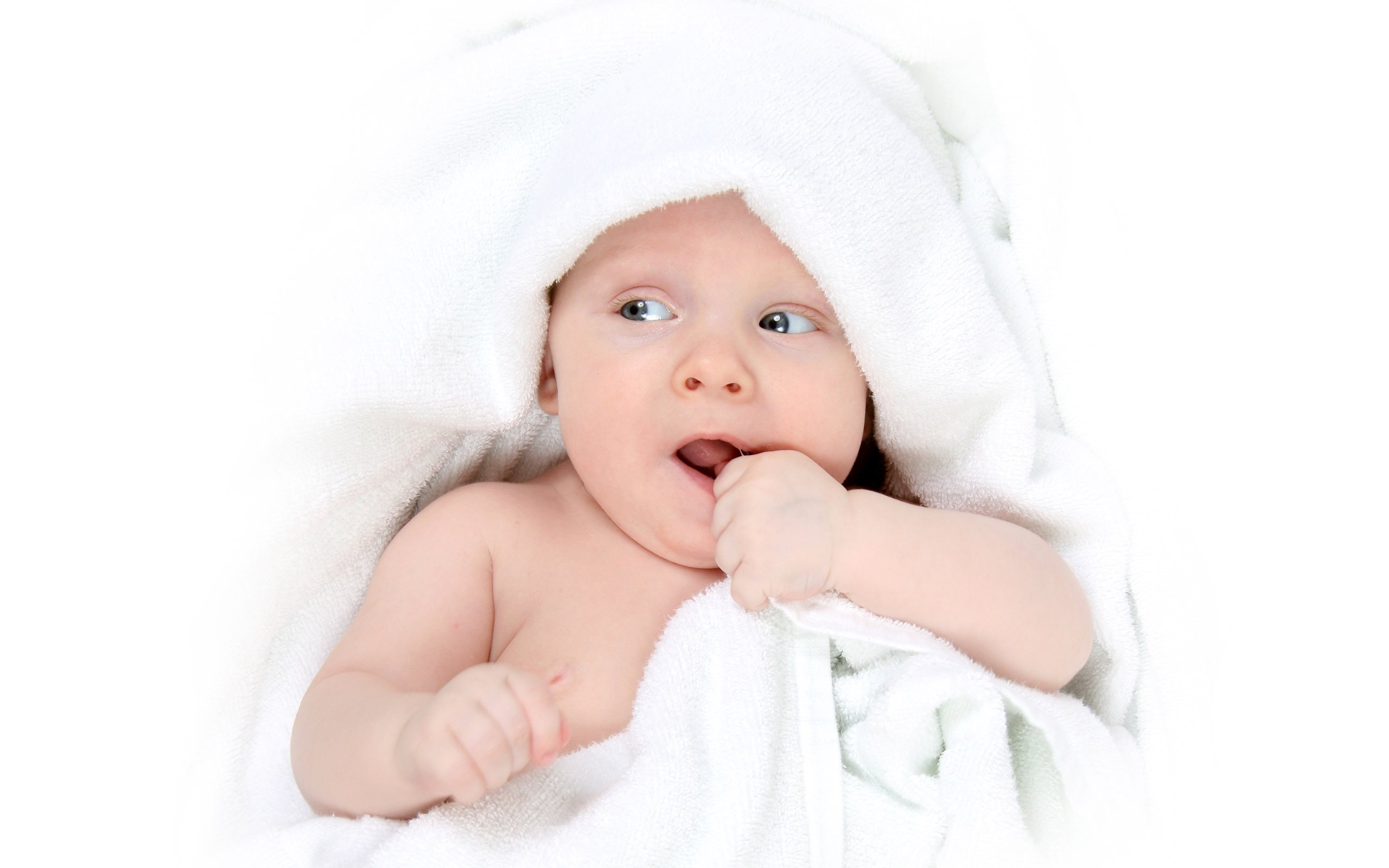 捐卵机构试管婴儿超长方案成功率